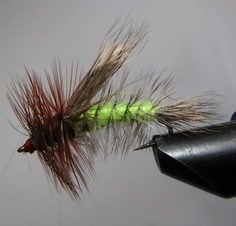 ���� ����� Stimulator STM 06  Fl. Chartreuse Var. ������ � 10 ( Kumho )
